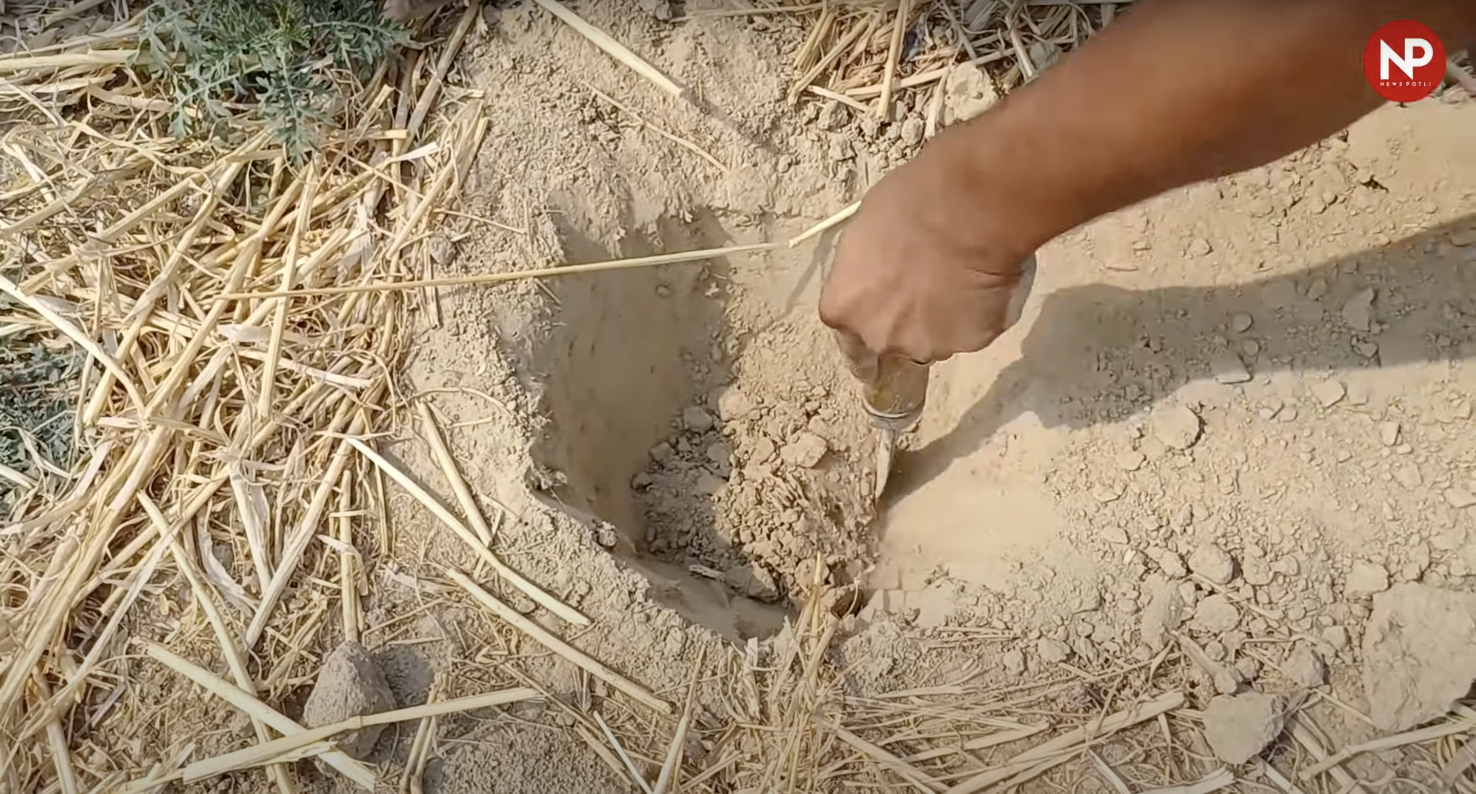 मिट्टी की उर्वरता